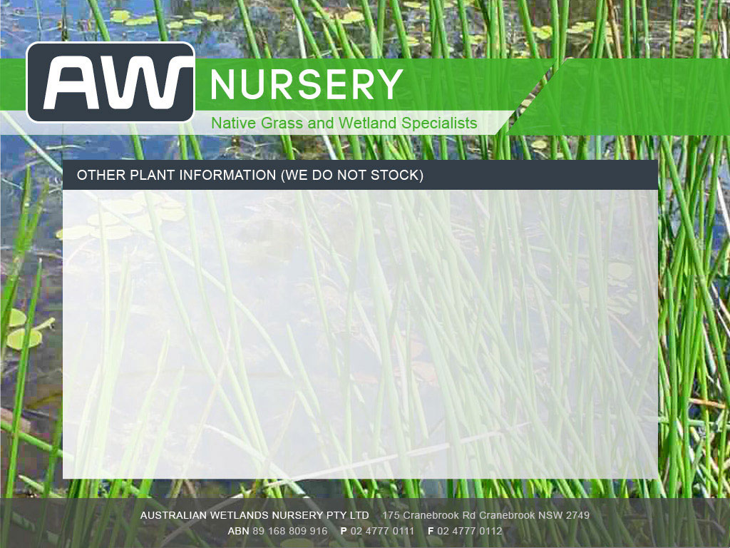 AW Nursery home page